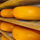 Illustration for article titled Ultra-rare 20-year Wisconsin cheddar will be sold for $209 per pound